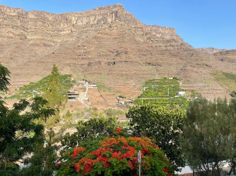 Cycling Holiday, 11 Km From Arguineguin Las Casillas  Екстериор снимка